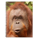 Search for cute monkey notebooks Wildlife