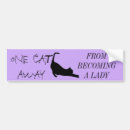 Search for meow bumper stickers Kittens