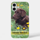 Search for california iphone cases Photography