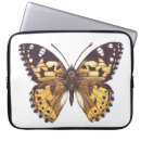 Search for painted lady electronics Animal