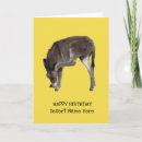 Search for scratching cards Animals