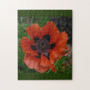 Search for oriental puzzles Nature