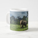 Search for national forest mugs Rainforest
