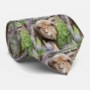 Search for lion ties Wildlife