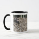 Search for suffolk mugs Outdoors
