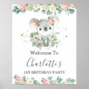 Search for koala baby shower For kids