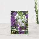 Search for summertime cards White