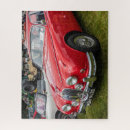 Search for jaguar puzzles British