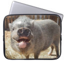 Search for swine electronics Farm