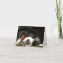 Search for dog sleeping cards Pet