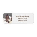 Search for pinto horse return address labels Paint