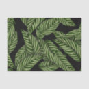 Search for leaf plant tissue paper Modern