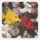 Search for yellow fish stickers Red