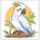 Search for parrot cartoon stickers Illustration