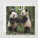 Search for bamboos invitations Forest