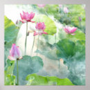Search for perennials posters Flowers