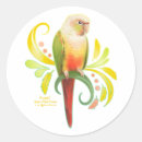 Search for cheek stickers Green cheeked conure