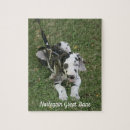 Search for great dane dog puzzles Harlequin