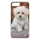 Search for maltese puppy iphone cases Adorable