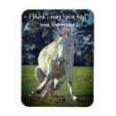 Search for ponies magnets Funny