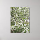 Search for cherry blossom canvas prints Photography