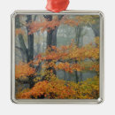 Search for quiet christmas tree decorations Forest