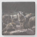 Search for wolf coasters Wildlife