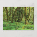 Search for moss postcards Nature