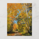 Search for dirt road postcards Rural