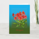 Search for red lily thank you cards Lilies
