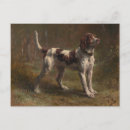 Search for bonheur Animals
