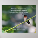 Search for ruby throated posters Wildlife