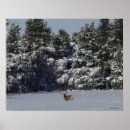 Search for buck deer posters Hunting