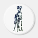 Search for whippet magnets Greyhound