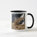 Search for square head mugs Indoors