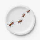 Search for ant plates Picnic