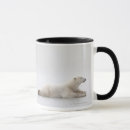 Search for polar ice mugs Environment