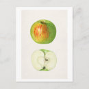 Search for malu postcards Food