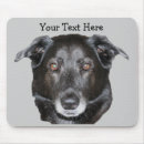 Search for lab electronics Pet