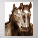 Search for make a horse posters Animal