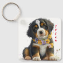 Search for bernese accessories Cute
