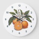 Search for orange fruit clocks Watercolor
