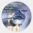Search for post stickers Bird