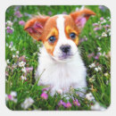 Search for cute flowers stickers Dog