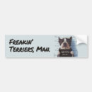 Search for mans bumper stickers Dog