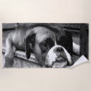 Search for dog beach towels Boxer