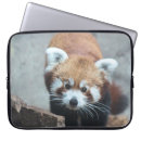 Search for panda laptop cases Photography