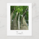 Search for tree design postcards Forest