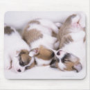 Search for sleeping puppy electronics Horizontal