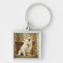 Search for pomeranian key rings Humour
